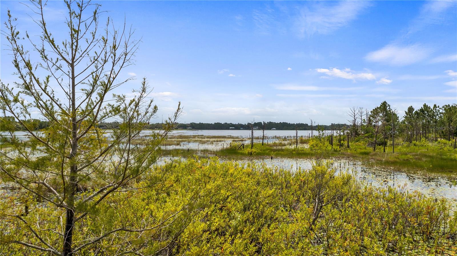 2459 ADELIA BLVD, DELTONA, FL, 32725