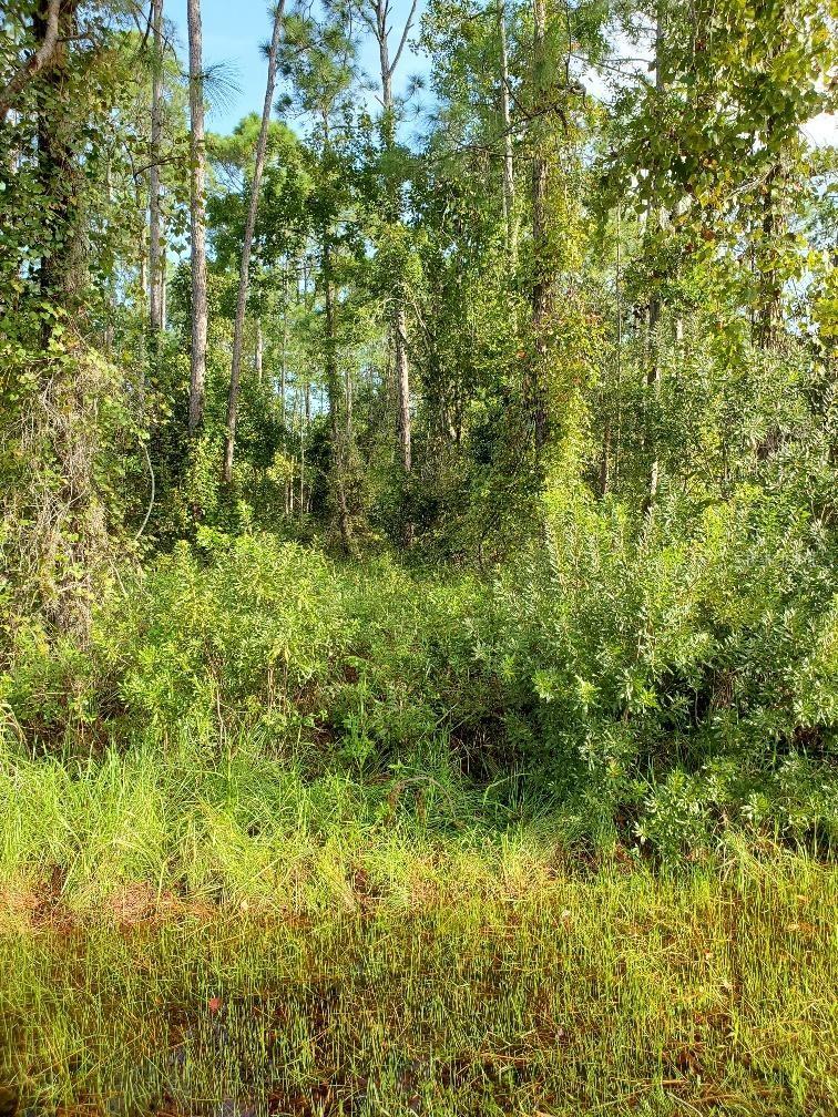 22 KAYWOOD PL, PALM COAST, FL, 32164