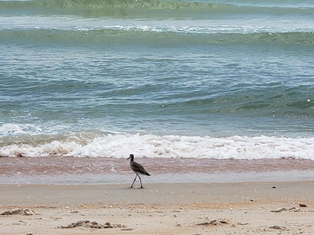 22 KAYWOOD PL, PALM COAST, FL, 32164