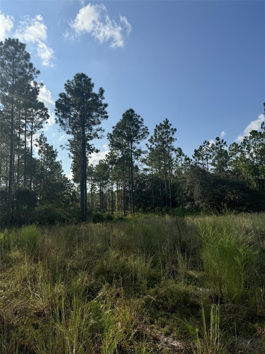 11999 NE 150TH AVE RD, FORT MC COY, FL, 32134