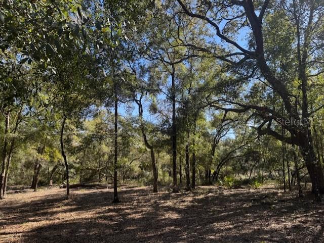 11999 NE 150TH AVE RD, FORT MC COY, FL, 32134