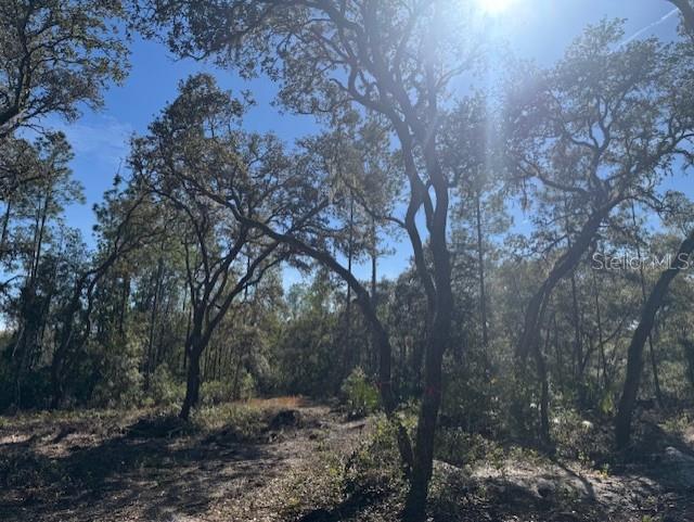 11999 NE 150TH AVE RD, FORT MC COY, FL, 32134