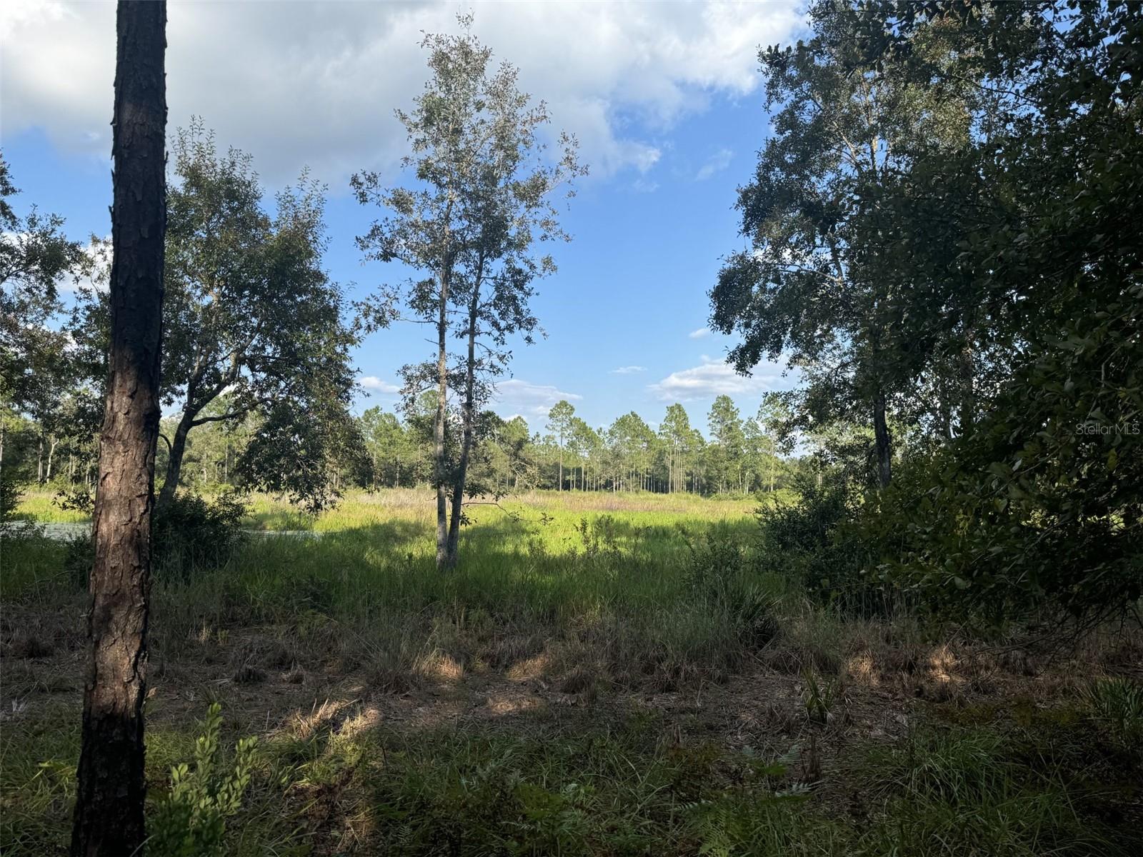 11999 NE 150TH AVE RD, FORT MC COY, FL, 32134
