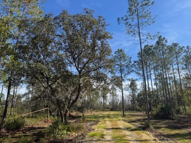 11999 NE 150TH AVE RD, FORT MC COY, FL, 32134