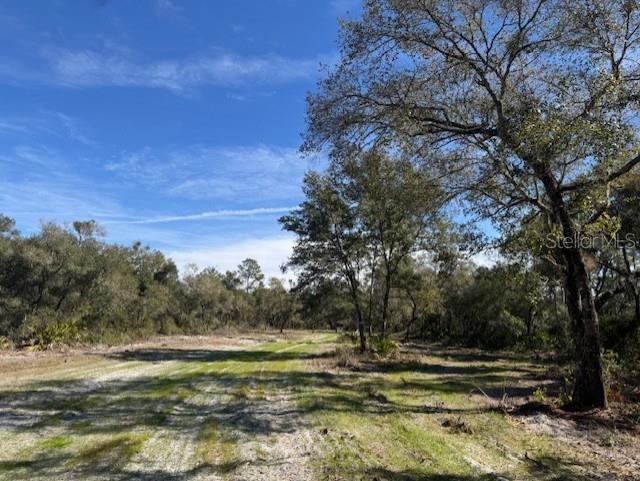 11999 NE 150TH AVE RD, FORT MC COY, FL, 32134