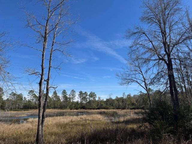 11999 NE 150TH AVE RD, FORT MC COY, FL, 32134