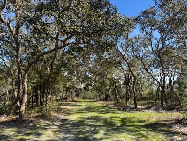 11999 NE 150TH AVE RD, FORT MC COY, FL, 32134