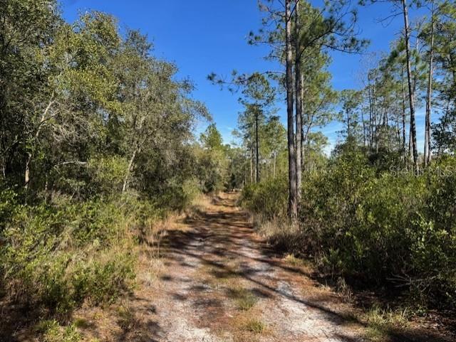 11999 NE 150TH AVE RD, FORT MC COY, FL, 32134