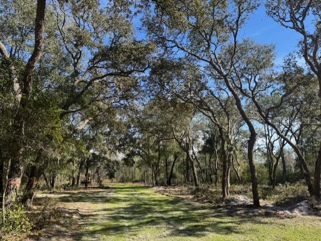 11999 NE 150TH AVE RD, FORT MC COY, FL, 32134