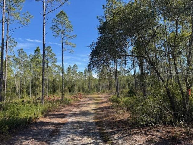 11999 NE 150TH AVE RD, FORT MC COY, FL, 32134