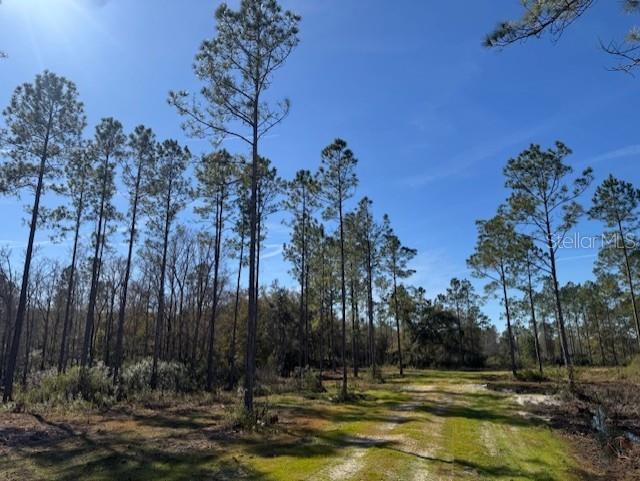 11999 NE 150TH AVE RD, FORT MC COY, FL, 32134