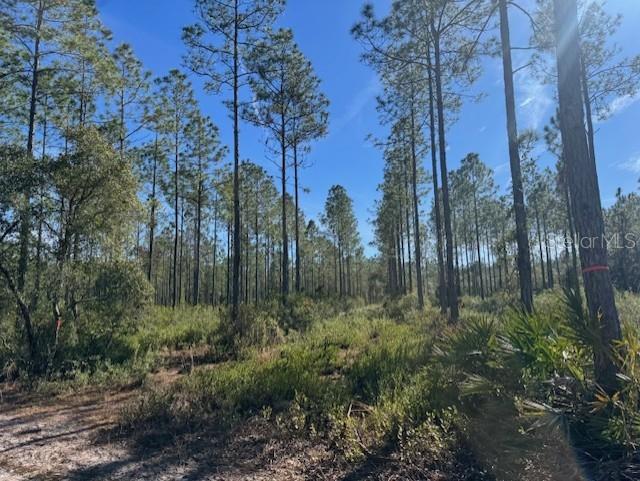 11999 NE 150TH AVE RD, FORT MC COY, FL, 32134