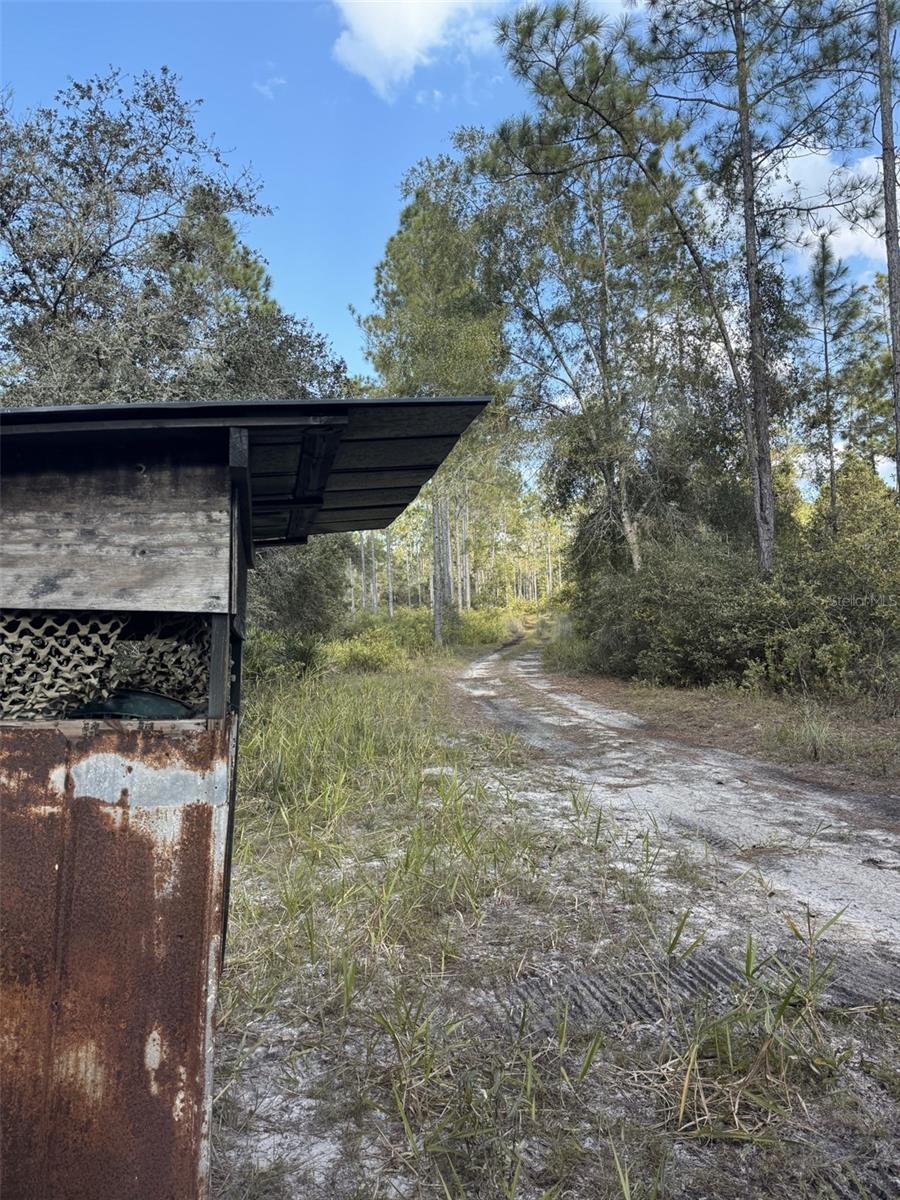 11999 NE 150TH AVE RD, FORT MC COY, FL, 32134