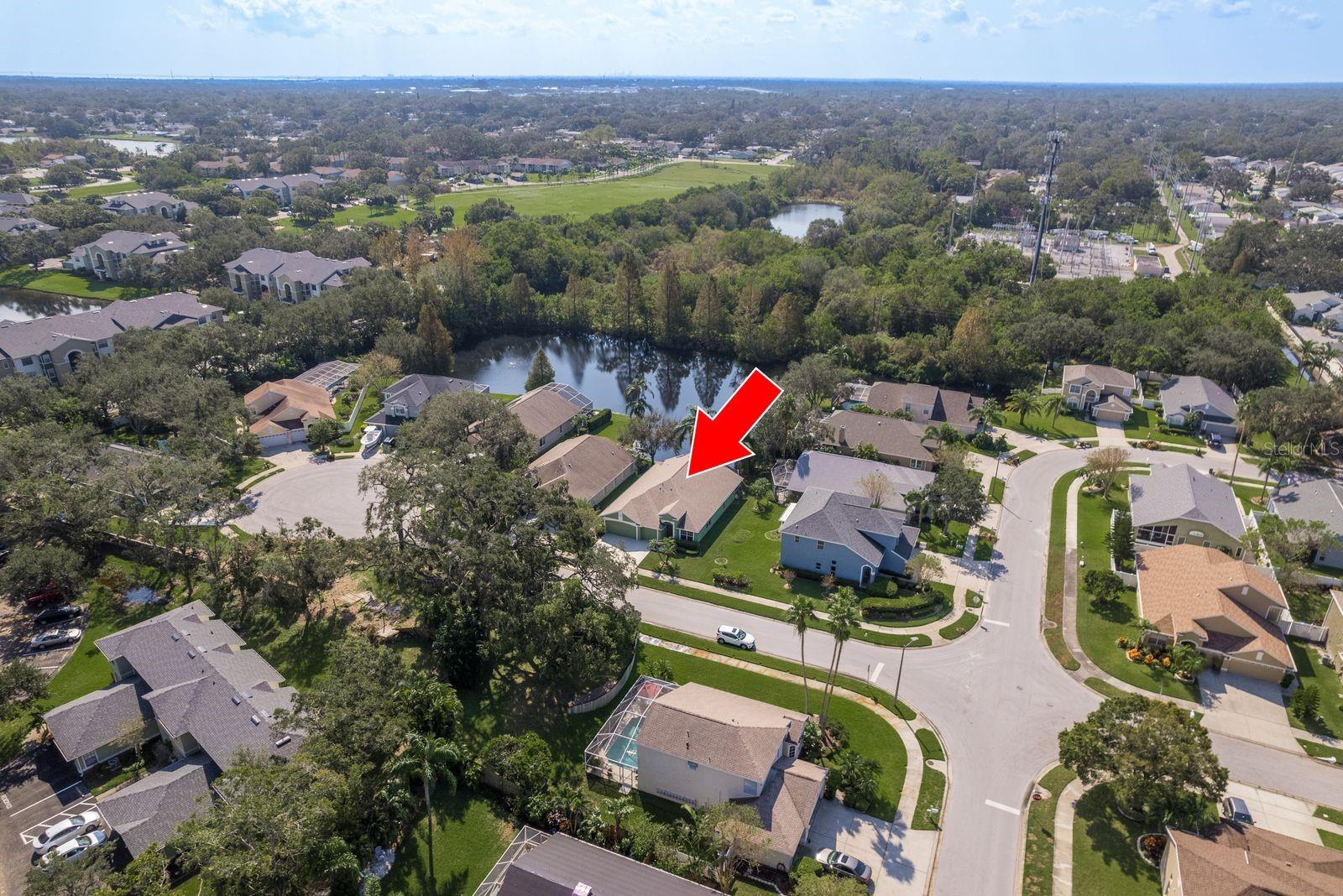 1211 PENNY CT, DUNEDIN, FL, 34698