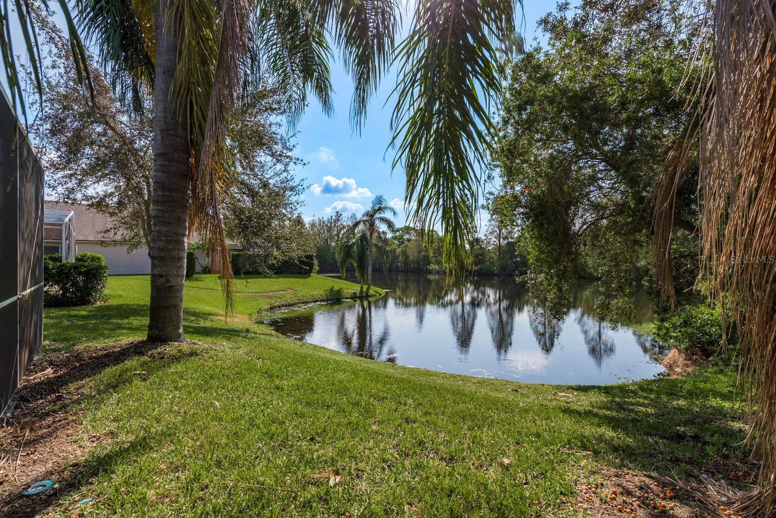 1211 PENNY CT, DUNEDIN, FL, 34698