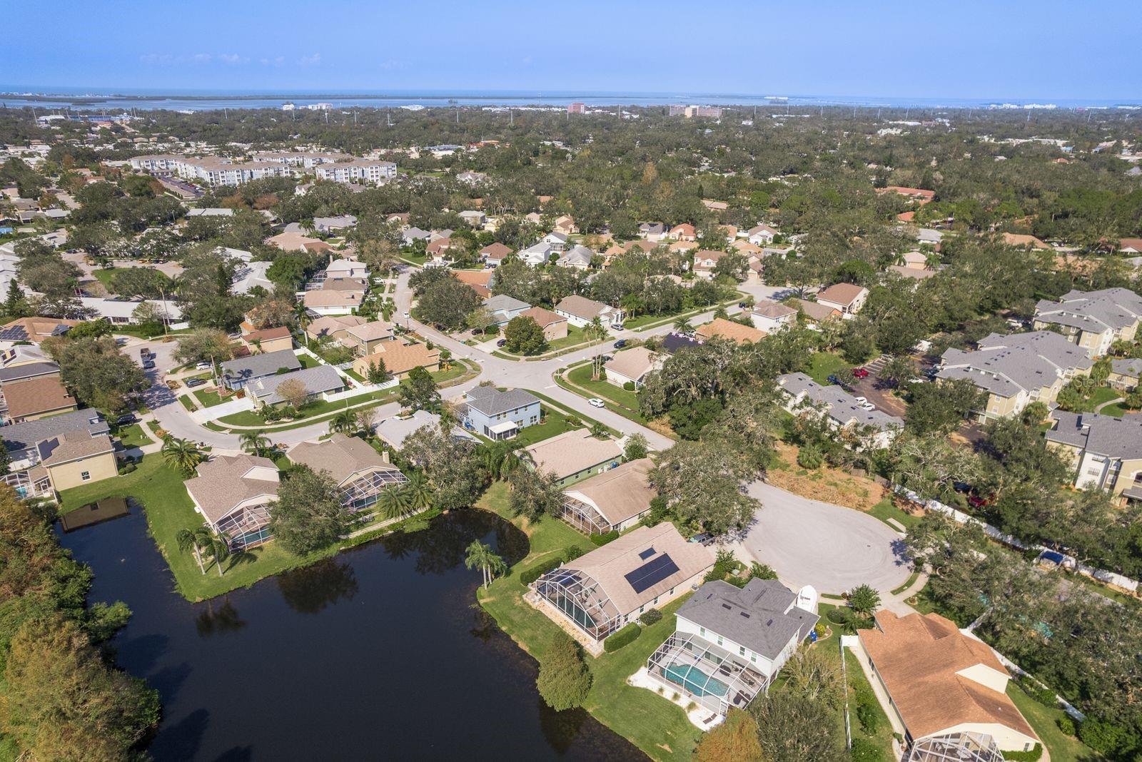 1211 PENNY CT, DUNEDIN, FL, 34698