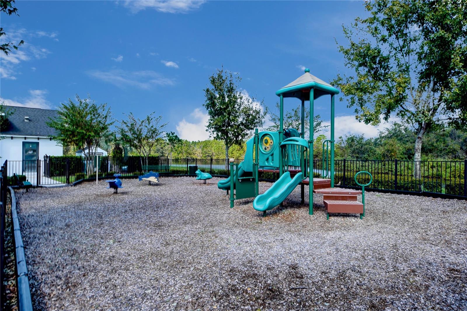3690 MAIDENCAIN ST, CLERMONT, FL, 34714