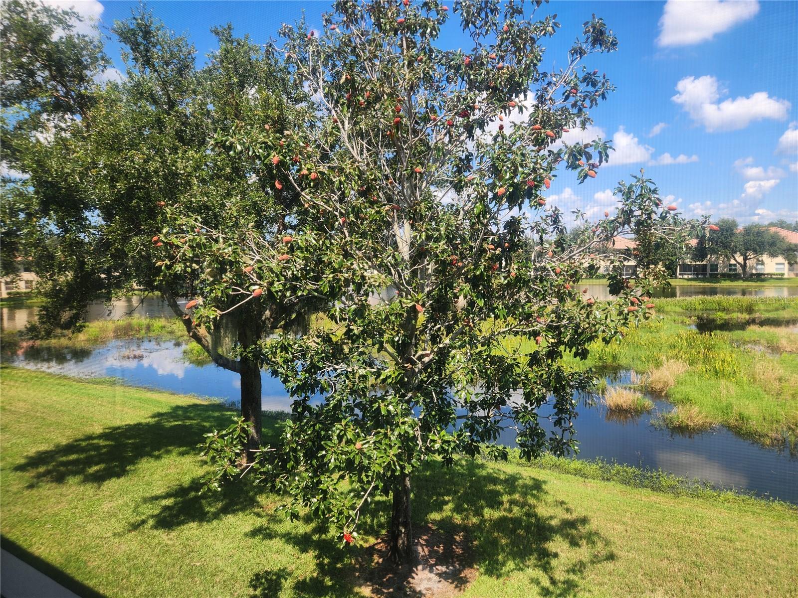 4206 VICENZA DR #D, VENICE, FL, 34293