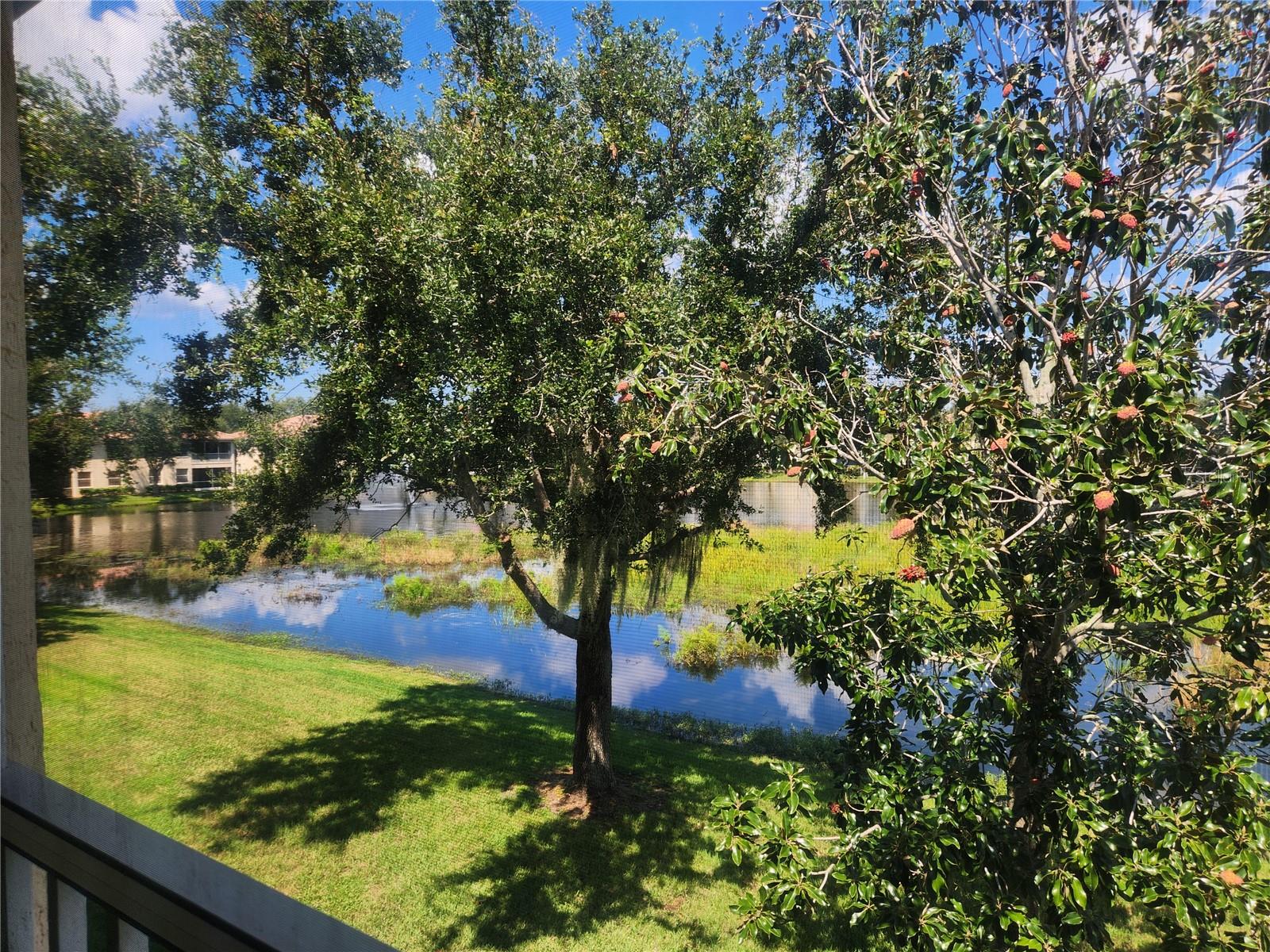 4206 VICENZA DR #D, VENICE, FL, 34293