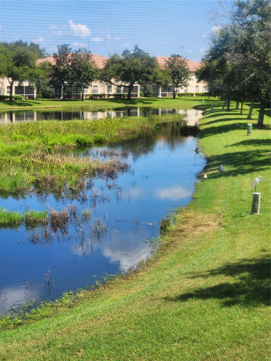 4206 VICENZA DR #D, VENICE, FL, 34293