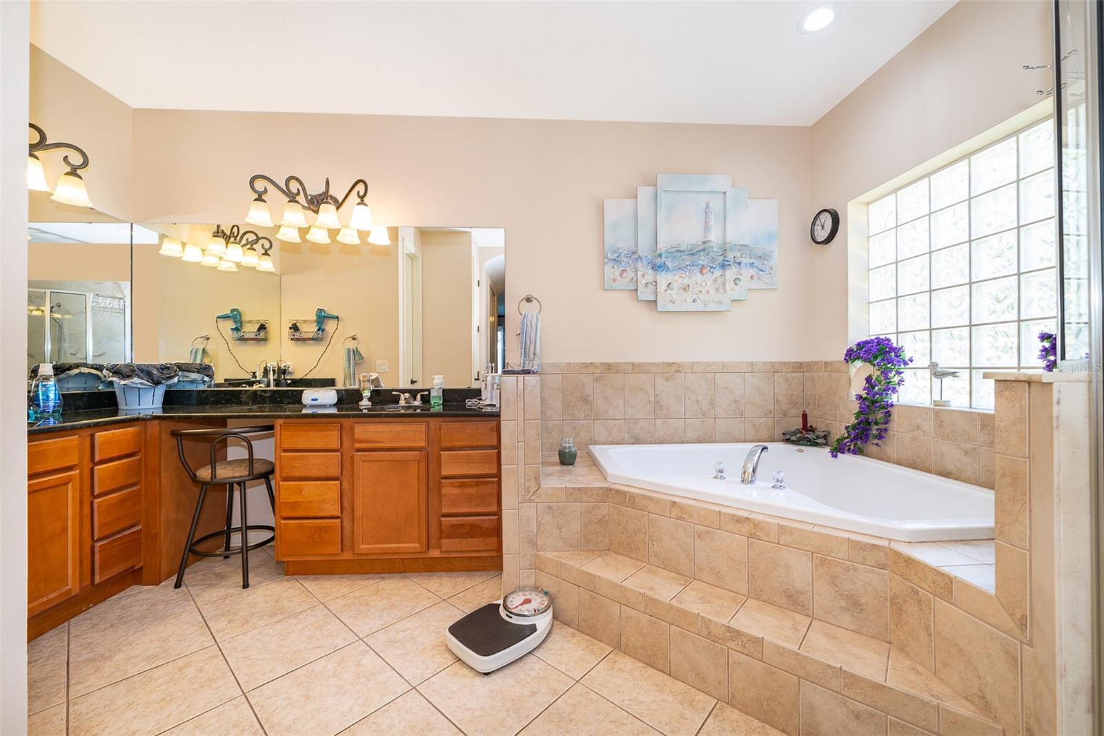 12009 EAGLE POINT CT, LEESBURG, FL, 34788