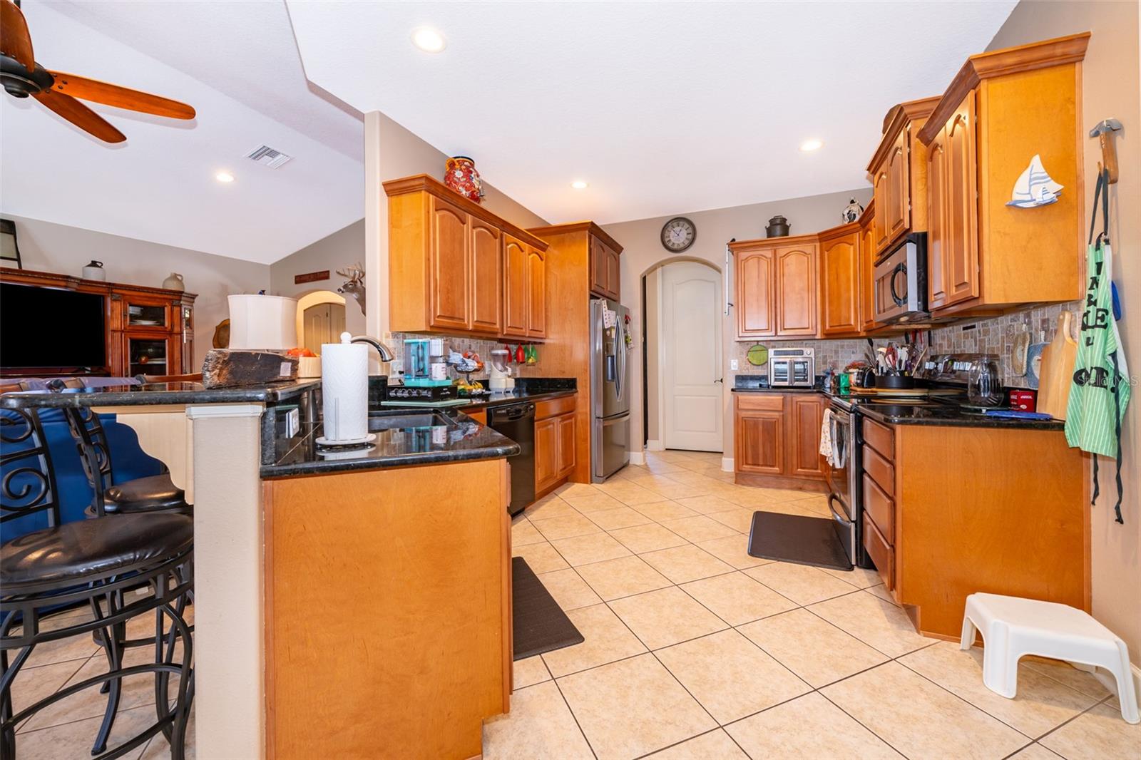 12009 EAGLE POINT CT, LEESBURG, FL, 34788
