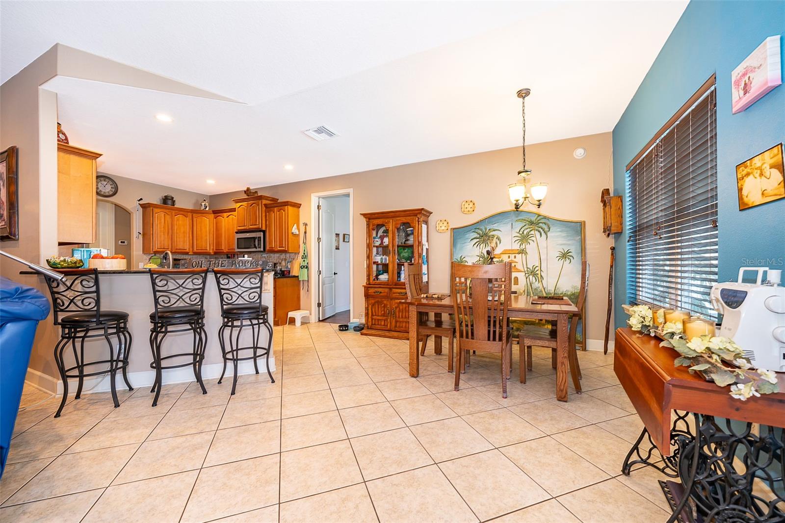 12009 EAGLE POINT CT, LEESBURG, FL, 34788