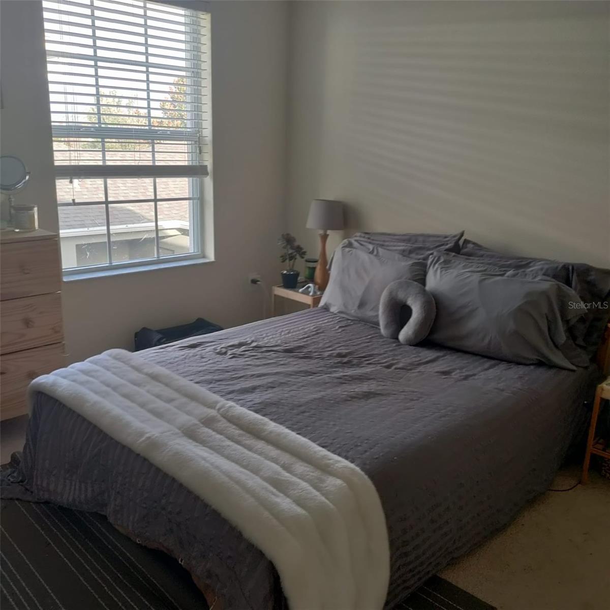 13155 KEGAN ST, WINDERMERE, FL, 34786