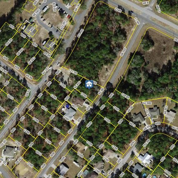 9561 N TRAVIS DR, CITRUS SPRINGS, FL, 34434