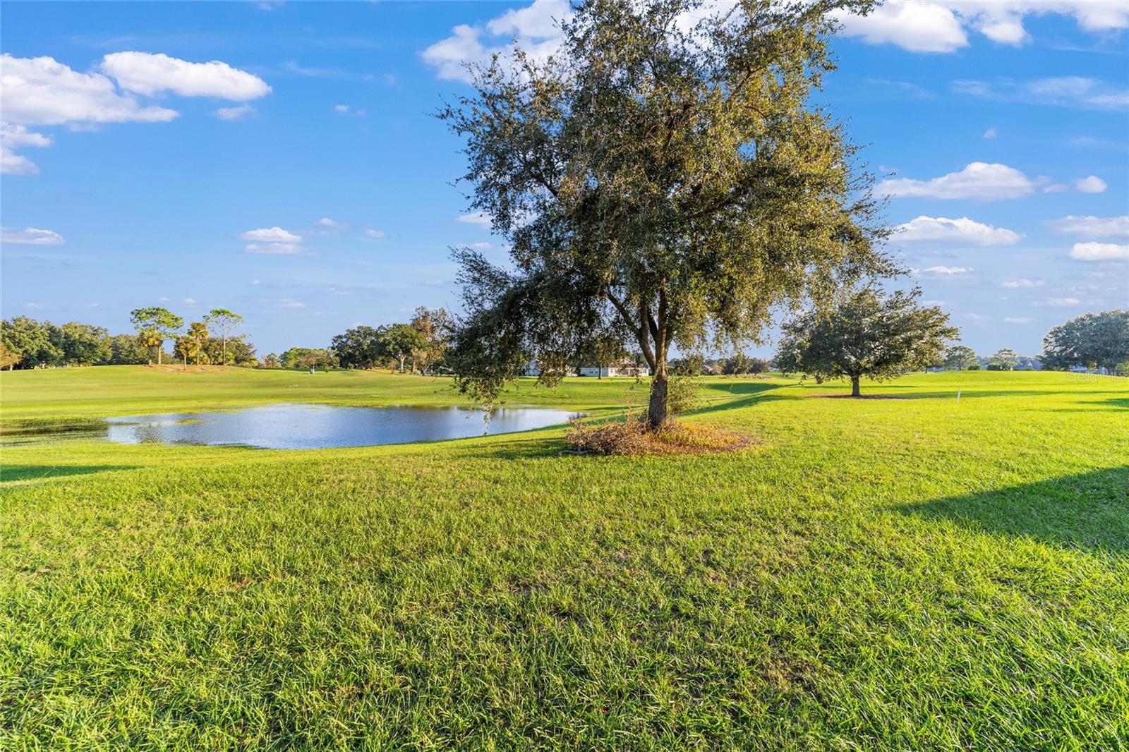 9766 SW 90TH ST, OCALA, FL, 34481