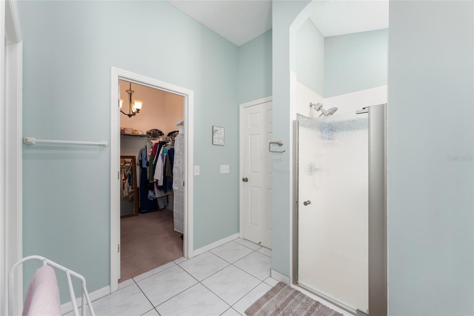 16685 SE 80TH BELLAVISTA CIR, THE VILLAGES, FL, 32162