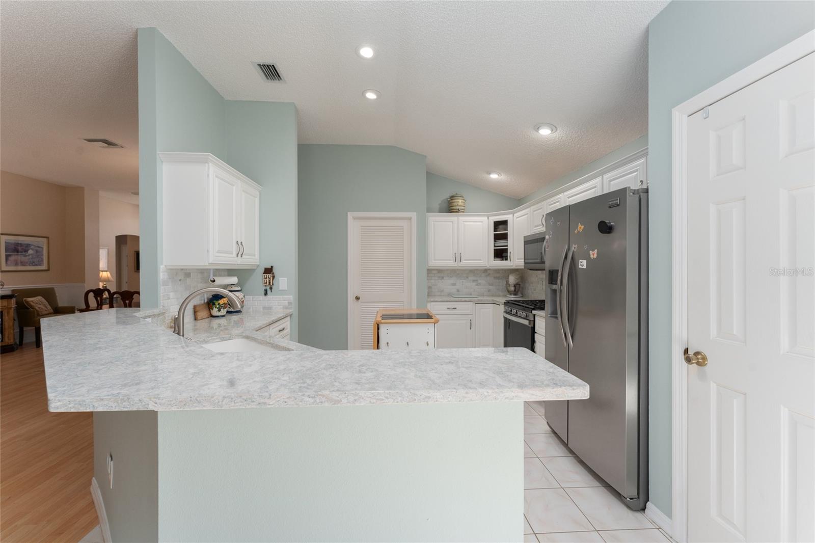 16685 SE 80TH BELLAVISTA CIR, THE VILLAGES, FL, 32162