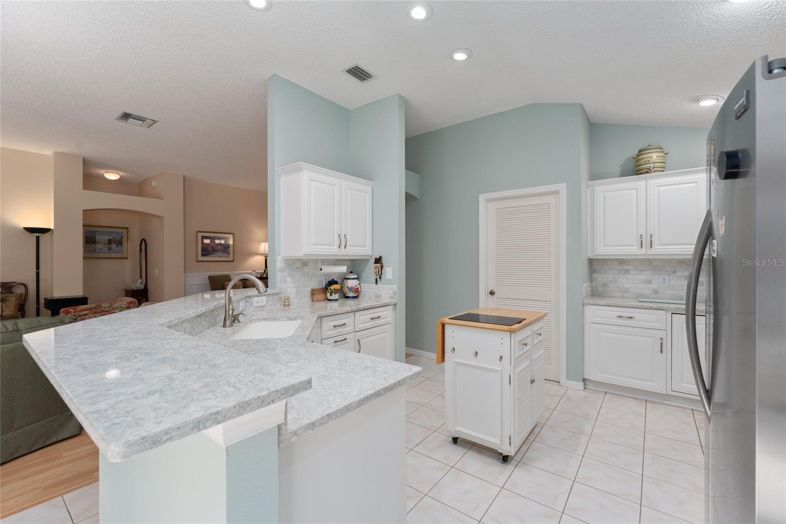 16685 SE 80TH BELLAVISTA CIR, THE VILLAGES, FL, 32162