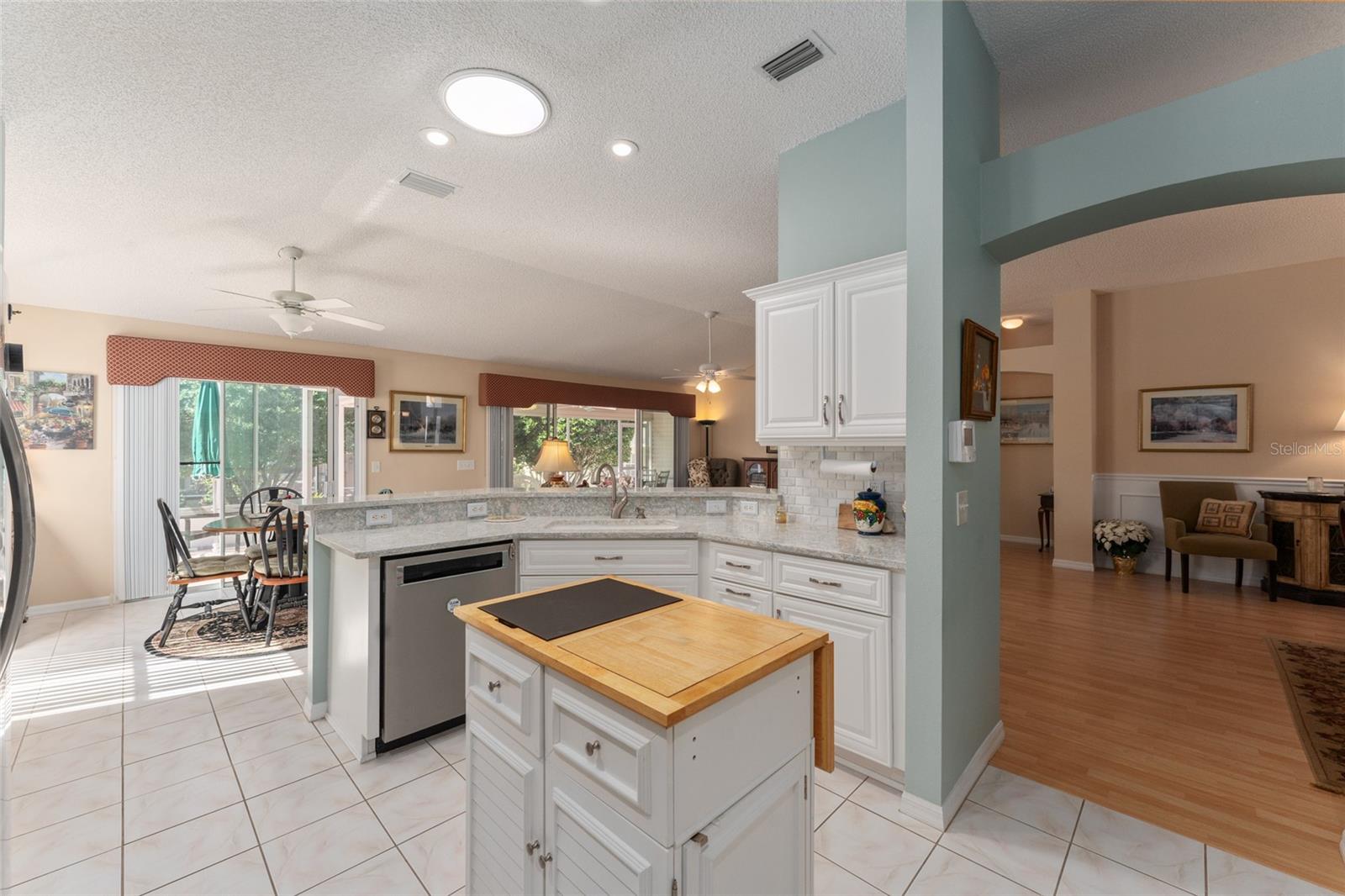 16685 SE 80TH BELLAVISTA CIR, THE VILLAGES, FL, 32162