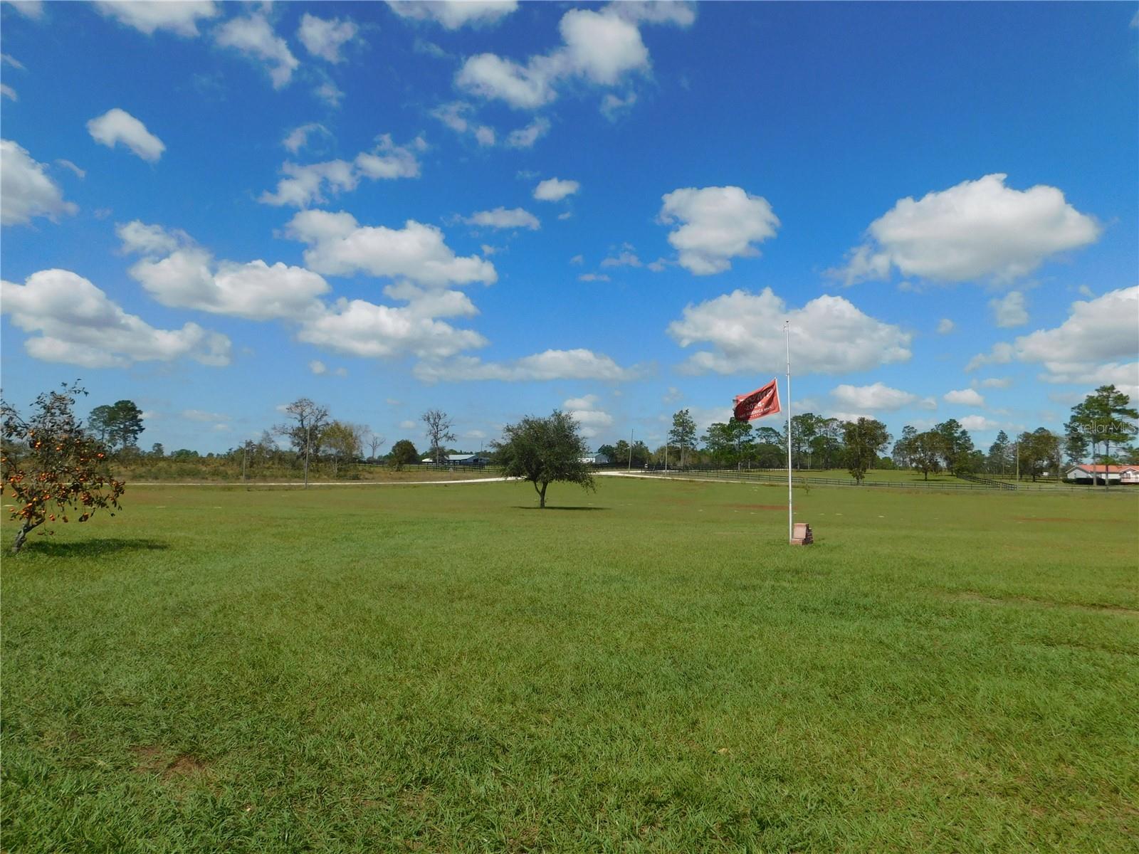 14050 SE 66TH LN, MORRISTON, FL, 32668