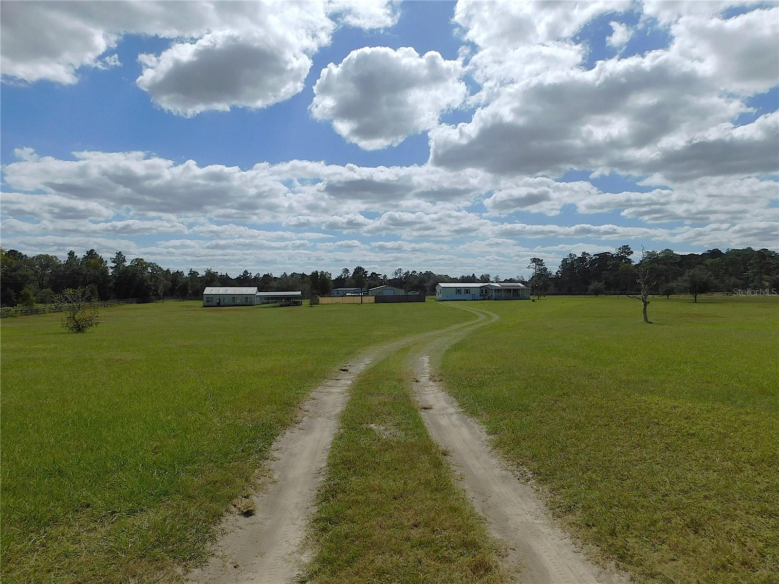 14050 SE 66TH LN, MORRISTON, FL, 32668