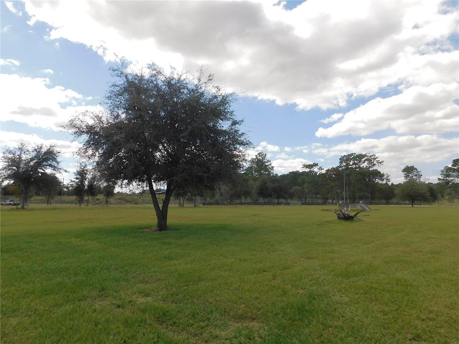 14050 SE 66TH LN, MORRISTON, FL, 32668