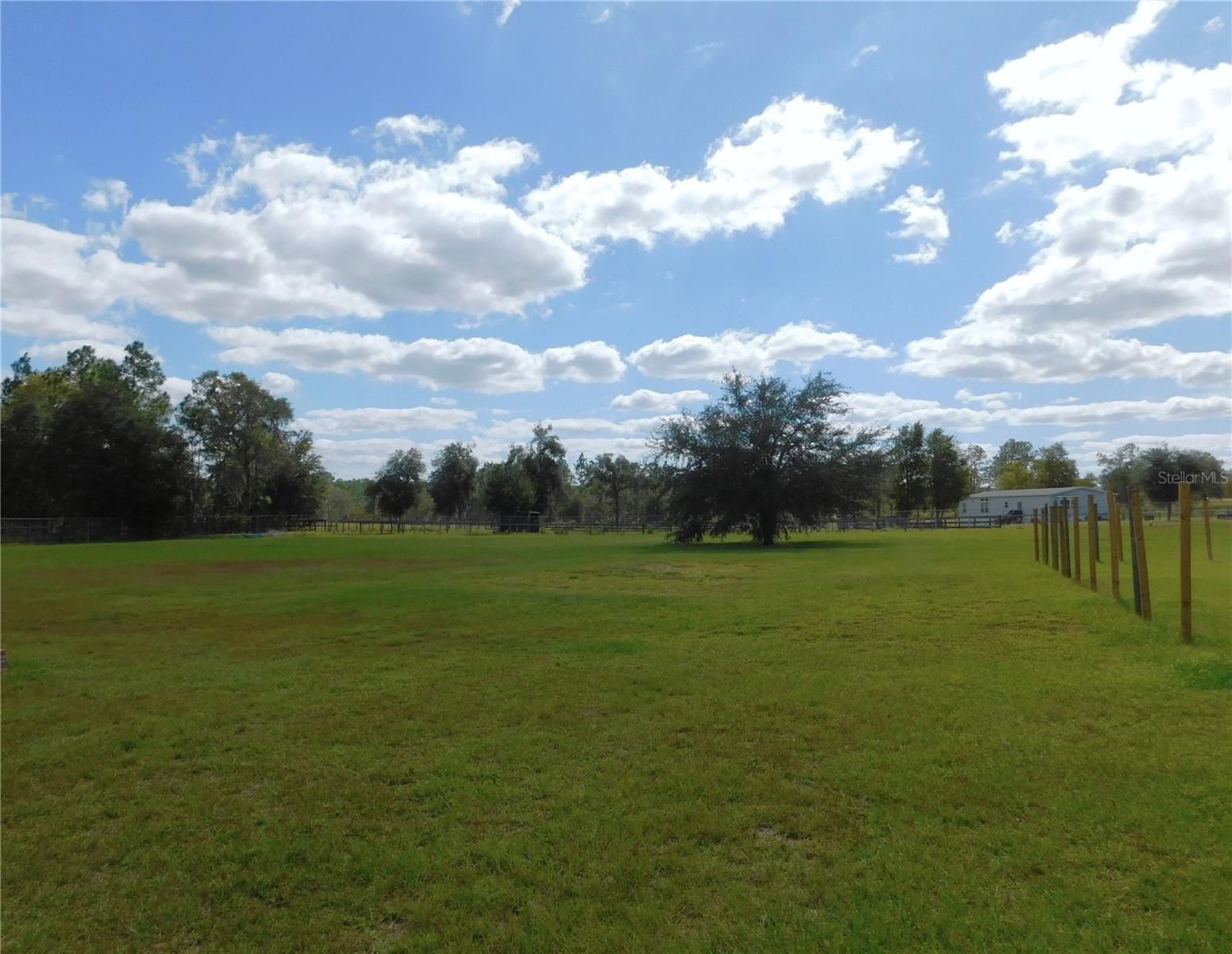 14050 SE 66TH LN, MORRISTON, FL, 32668