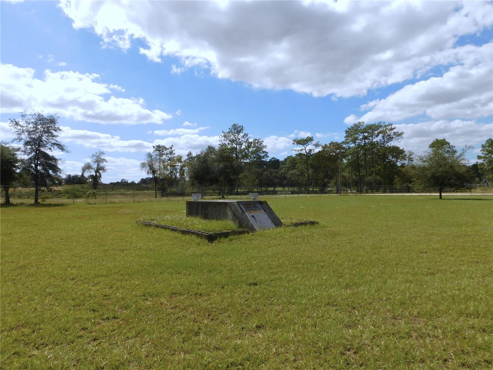 14050 SE 66TH LN, MORRISTON, FL, 32668