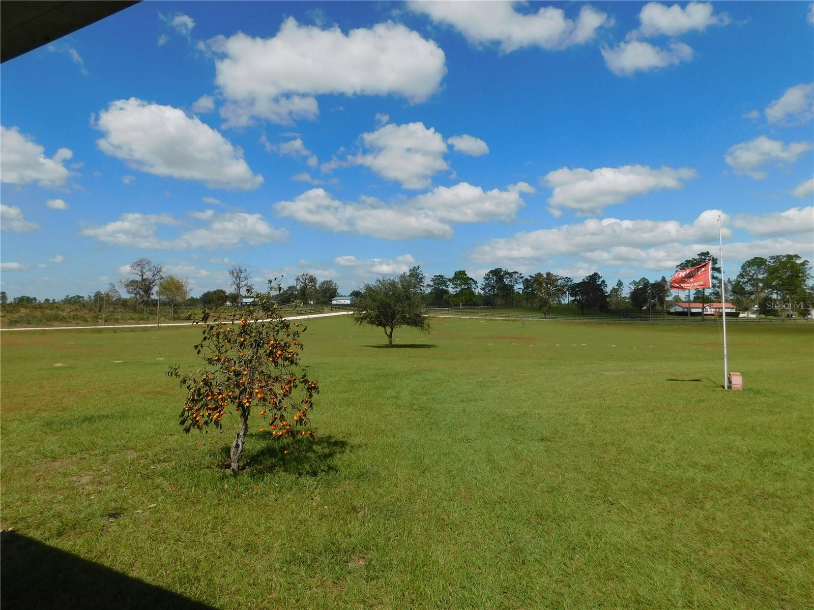 14050 SE 66TH LN, MORRISTON, FL, 32668