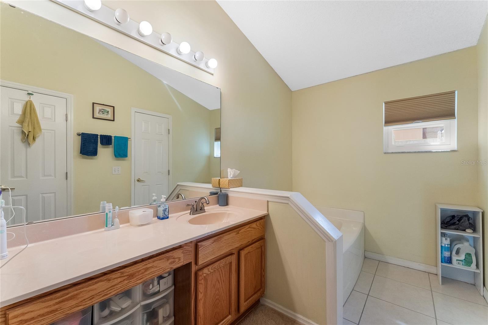 3231 BRETTON WOODS TER, DELTONA, FL, 32725