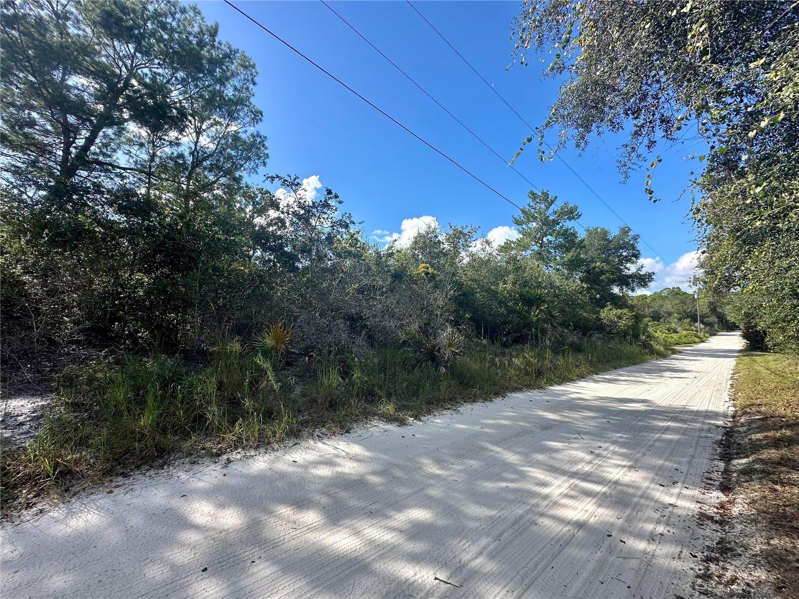 TBD HON AVE, LAKE HELEN, FL, 32744