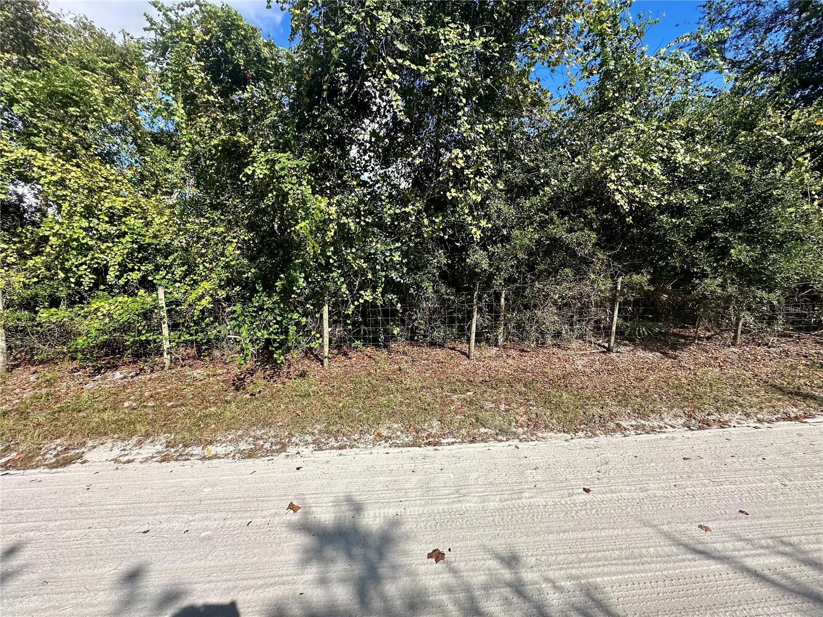 TBD HON AVE, LAKE HELEN, FL, 32744