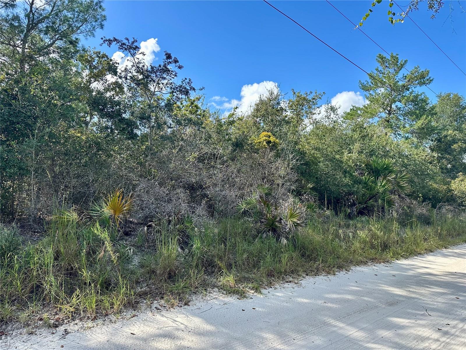 TBD HON AVE, LAKE HELEN, FL, 32744