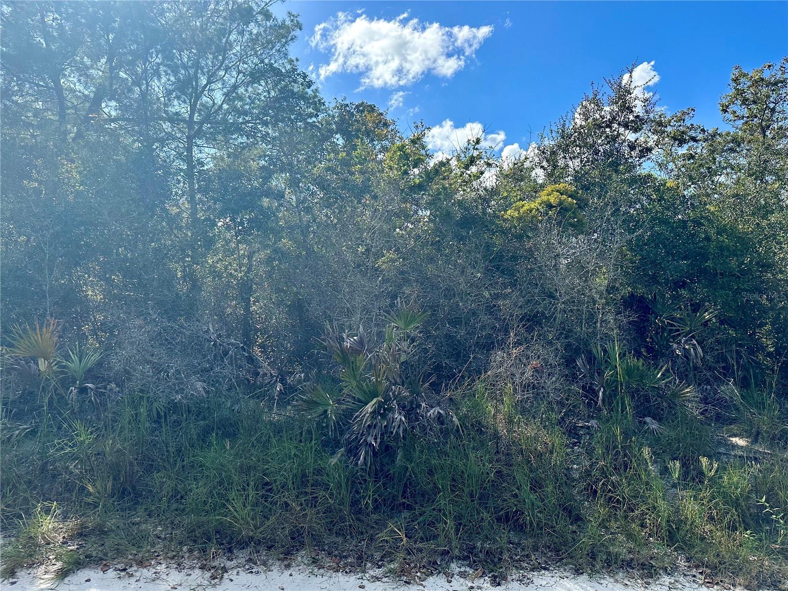 TBD HON AVE, LAKE HELEN, FL, 32744