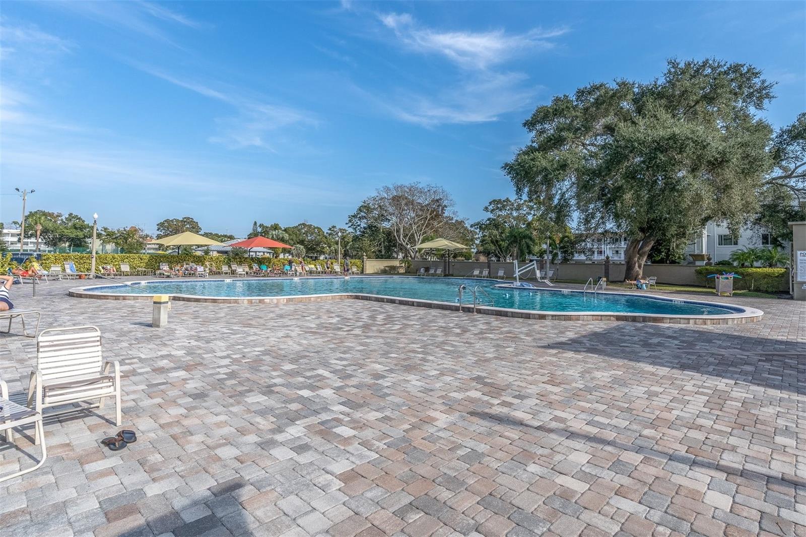 2455 FINLANDIA LN #43, CLEARWATER, FL, 33763