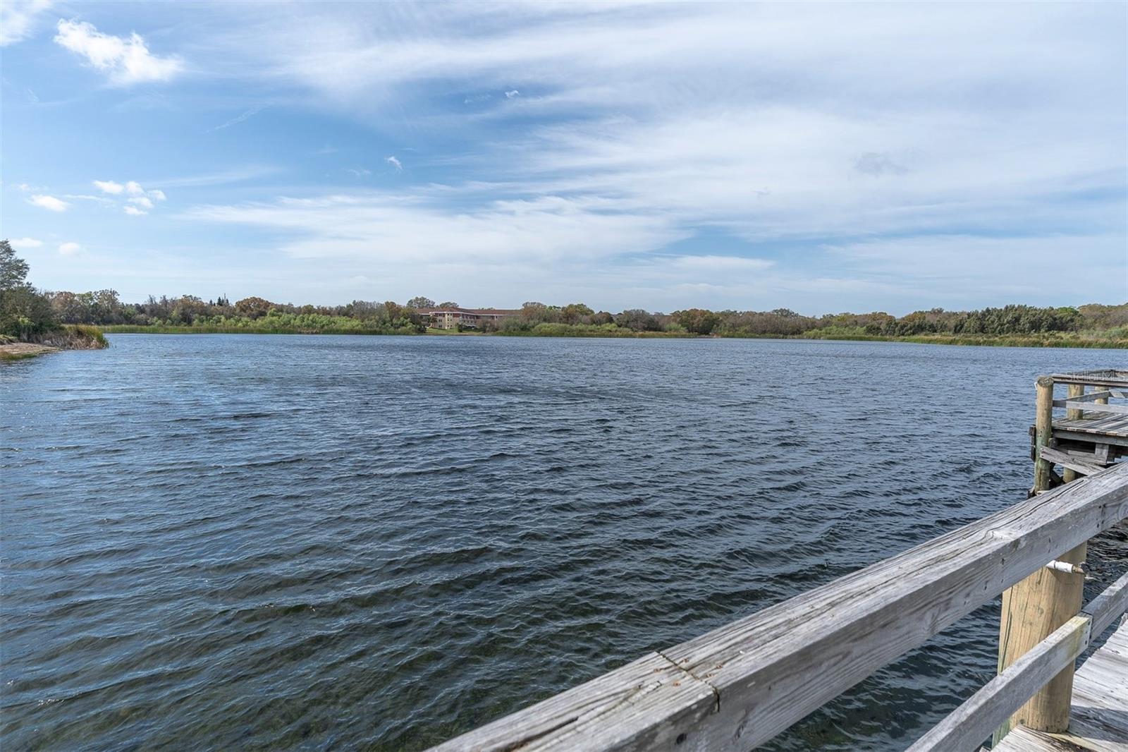 2455 FINLANDIA LN #43, CLEARWATER, FL, 33763