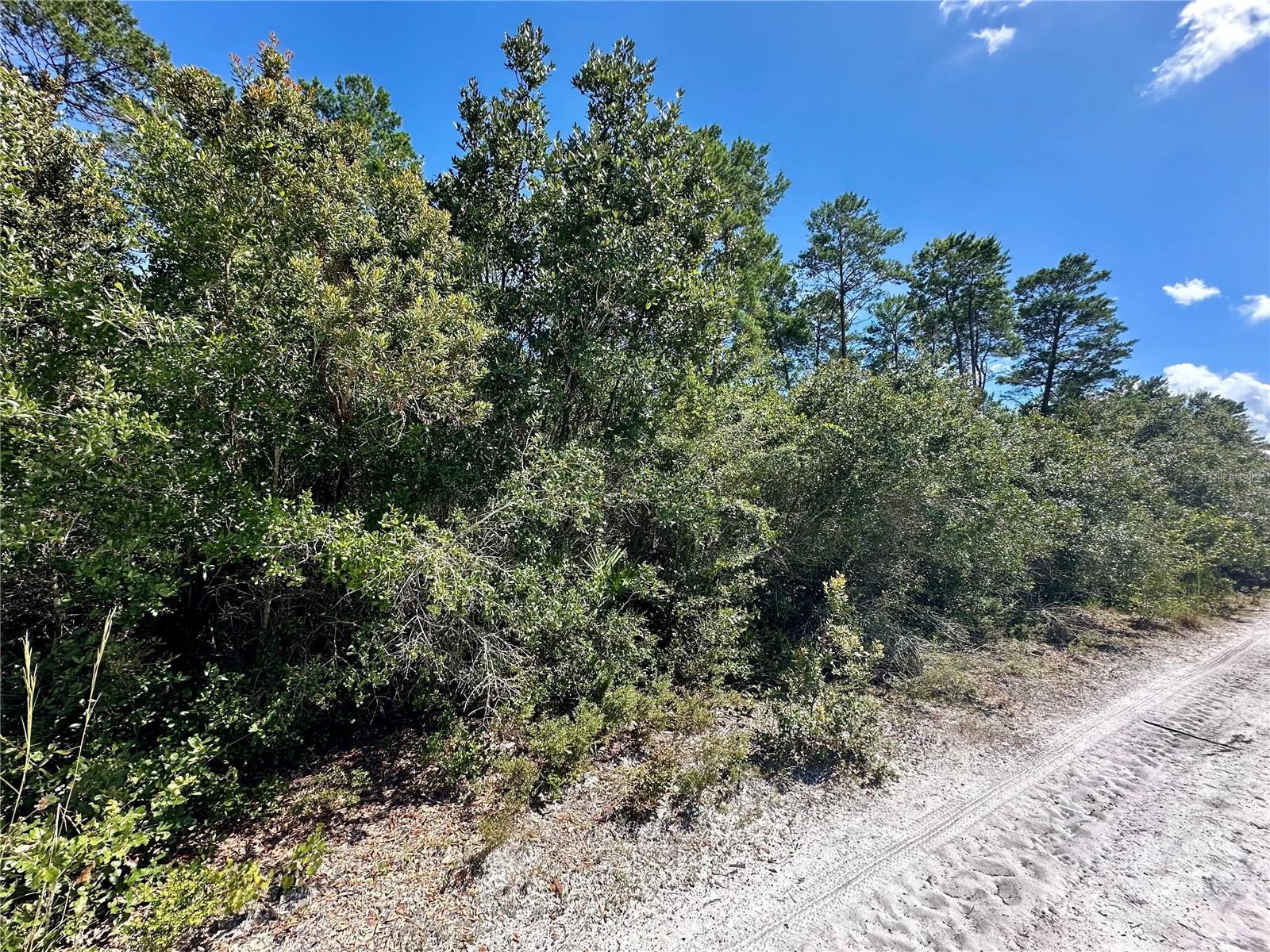 NO STREET, DELAND, FL, 32720