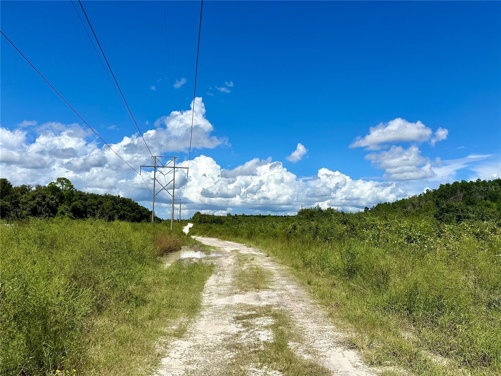 NO STREET, DELAND, FL, 32720