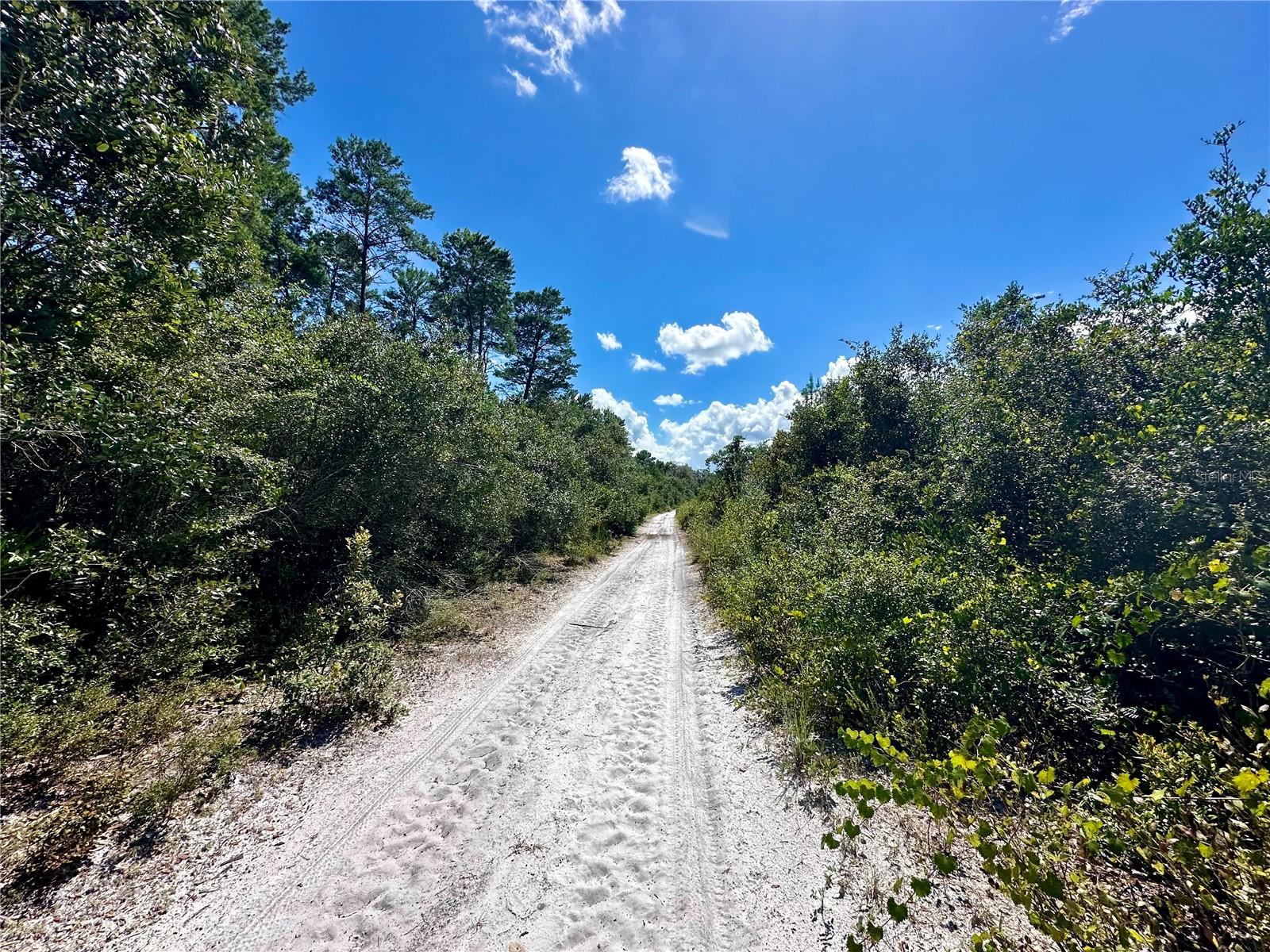 NO STREET, DELAND, FL, 32720